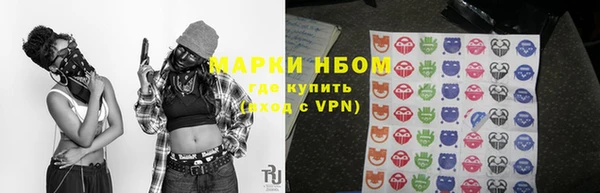 прущие грибы Вяземский