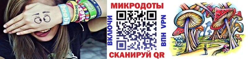 где найти наркотики  Сковородино  МЕГА ссылки  Псилоцибиновые грибы MAGIC MUSHROOMS 